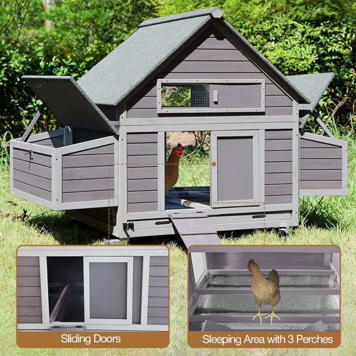 Chicken Coop with Large Nesting Box (image 4)