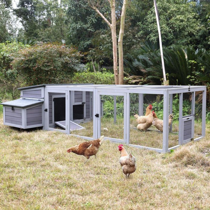 Large Chicken Coop with Run and Nesting Box